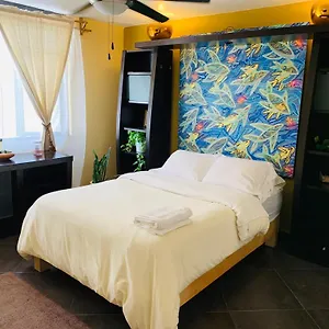  Pensión Casa Bonita México